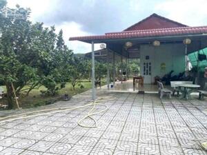 BÁN NHÀ CẤP 4 VƯỜN CÂY ĂN TRÁI 2500M2 SHR THỔ CƯ, NGAY KCN AN LINH GIÁ 550TR