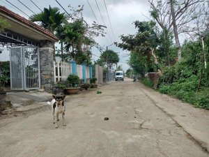 lên sóng đất phước sơn hòa khương (hòa tiến mới) diện tích lớn 2 mặt tiền trước sau