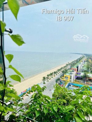 bán căn hộ flamingo hải tiến, có dòng tiền cho thuê tốt