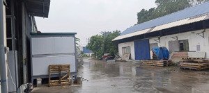 cho thuê kho, xưởng đại lộ t/long - kcn thạch thất. dt 1200m2, khung zamin, xuất vat, xe cont đỗ