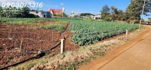 CẮT LỖ BÁN NHANH LÔ ĐẤT siêu đẹp tại TuTra Xã Đơn Dương, Lâm Đồng