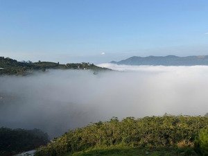 đừng vội mua đất bảo lộc nếu chưa biết tại sao aman cloud - bảo lộc lại khác biệt