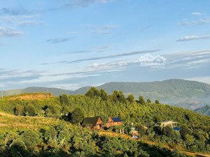 nền 2750m2 tại làng oa bảo lộc: view đồi chè săn mây, trung tâm dân cư, lý tưởng làm farmstay