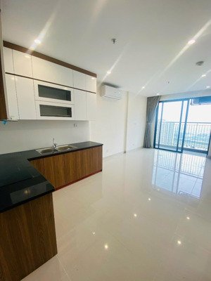 cho thuê căn hộ 1n+ full nội thất cơ bản giá 6tr/th toà s1.07