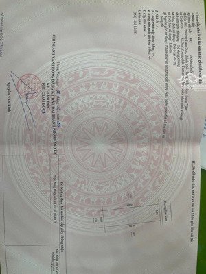 lô đất lk16,giãn dân tại phường nam sơn thành phố hưng yên gần bệnh viện nhiệt đới nằm đú