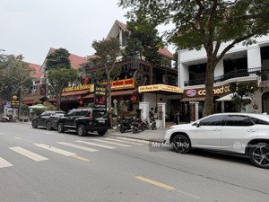 biệt thự mặt phố siêu hiếm tại the terra an hưng dt 445m2 xây 4 tầng, mt 25m, kinh doanh siêu khủng