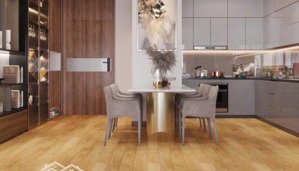 chính chủ bán gấp trong tháng giêng căn 95m-3pn ct3a đn 1 mễ trì thượng