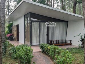 bán căn forest villa flamingo đại lải, view hồ bách thanh (cách hồ 50 m)