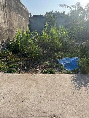 bán đất xã mỹ hạnh nam, diện tích 100m2 sổ riêng, bê tông dân đông giá 1 tỷ 150 triệu lh 