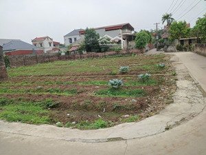 bán đất tại xã đông tảo, huyện khoái châu, hưng yên, giá 3 tỷ, diện tích 117m2