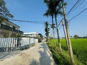 lô 2 mặt tiền đường 6m quang châu view cánh đồng - phường hoà xuân giá tốt