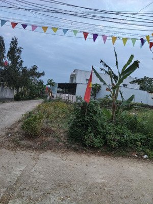 lô la thọ 3 phừờng điện bàn bắc