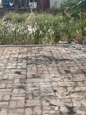 mặt đường 377 đối diện chợ mới đông tảo bán 100m2 vỉa hè siêu rộng, kinh doanh đỉnh hơn 9 tỷ có tl