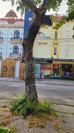 hotel kđt trảng kèo 21p hội an dòng tiền kinh doanh tốt