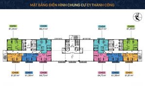 bán căn góc 81m 2pn chung cư c1 thành công, sẵn sàng giao dịch