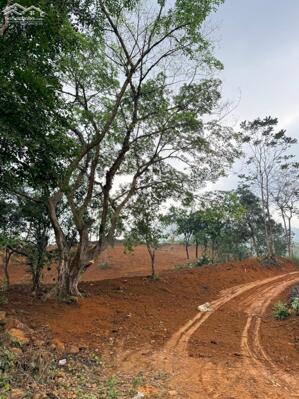 CƠ HỘI ĐẦU TƯ SINH LỜI, BÁN LÔ ĐẤT TẠI CAO PHONG, HÒA BÌNH.