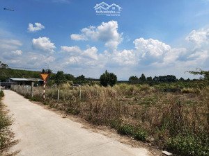 bán đất mặt tiền bê tông gần ql20 la ngà định quán, 5x40m chỉ 590 triệu/lô