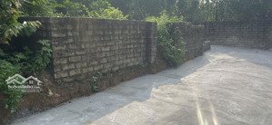 cc bán gấp lô đất ở full thổ cư lại thượng thạch thất, sẵn sổ, 203m2 - mt 6m - 100% đất thổ