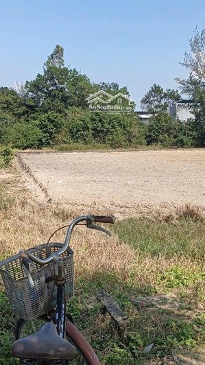 đất vườn thổ cư. khu dân cư hiện hữu cách thị trấn, chợ bệnh viện 1,5km