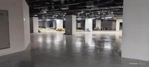 siêu phẩm!!! cho thuê mbkd phố lê văn lương siêu hót. dt 300m2 thông sàn. mt 15m ở vị trí siêu đẹp