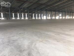Cho Thuê Xưởng 4542m Tại Cụm Cn Thuận An - Hcm