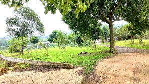 cần bán lô đất 4400m/300m2 thổ cư tại hoà thạch, quốc oai lô đất 3 mặt tiền