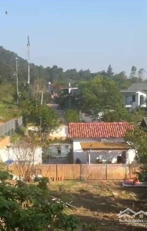 hơn 14.600m2, mt hơn200m. nguyên quả đồi 39 tỷ, kd dưới tán rừng, minh phú , sóc sơn