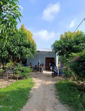 Bán mảnh đất 2541m2 có nhà cấp 4 ngay UBND Tân Hiệp - Phú Giáo - TPHCM. Giá: 650 triệu