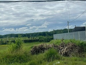 bán đất mặt tiền tỉnh lộ an nhơn tây, củ chi, diện tích: 5,9 ha