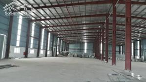 Cho Thuê 9000m² Xưởng Mới Bến Cát Bình Dương Pccc 1000kva, Bàn Giao Ngay