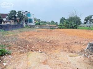 Bán gấp lô đất Kim Long, Tam Dương sát KCN Tam Dương 3, dt100m mt5m sẵn sổ giá 6xx triệu 0988296228