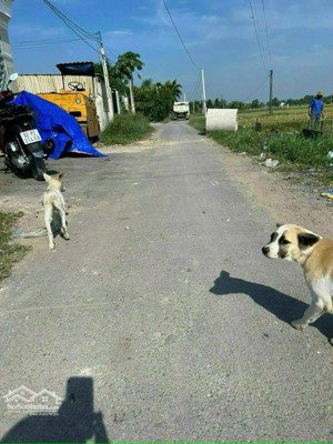 gđ cần bán gấp lô đất ngộp tại thị trấn đức hoà ngay đường nguyễn văn dương 150m2 giá 890 triệu shr