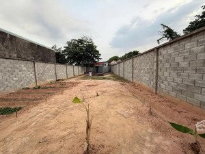 đất xây biệt thự 366m2 (ngang 10m),gần ngã tư bình thung,tp dĩ an