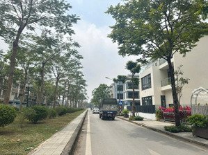 cho thuê liền kề thô an hưng đã có nền, điện nước giá 12tr/tháng. lh 