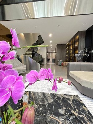 siêu phẩm ngọc khánh - vip ba đình - 97m nhà 5 tầng mới thang máy - ngõ oto - nhà cực đẹp !