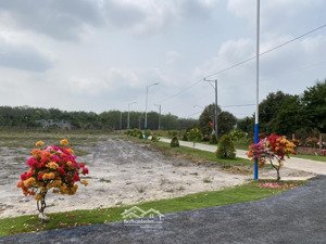 cần tìền bán lại lô đất 215m2 có 50m2 thổ cư mặt tiền nhựa dân cư đầy đủ, giá 570 triệu