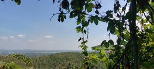 đất nhà vườn view hồ trị an, ql20 - ngang lớn 22m - mặt tiền đường bê tông - shr