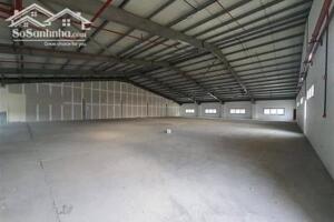 Cho Thuê 2 Kho Xưởng Bến Lức Long An Diện Tích 4.000m2