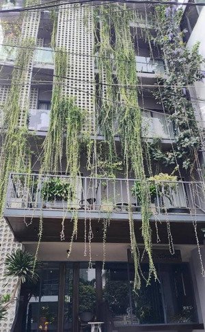 siêu phẩm chdv q2 - doanh thu 430tr/tháng gần 408m2 nở hậu 18m - pccc chuẩn - giá 105 tỷ