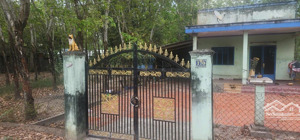 bán đất đt 750 3 mặt tiền, 6,5 tỷ, 1742,1 m2, chính chủ giá cực chất