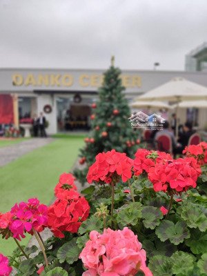 bán nhà biệt thự đẹp tại danko center, giá siêu hời 10 tỷ, diện tích 250m2.