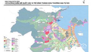 cần bán nhanh 20.000m2 đất cây lâu năm đường vành đai xã hòa phú, hòa vang, đà nẵng