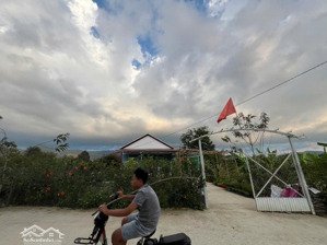 nhà vườn 14x40m giá 1,5 tỷ bớt lộc nghỉ dưỡng, làm home, nhà vườn