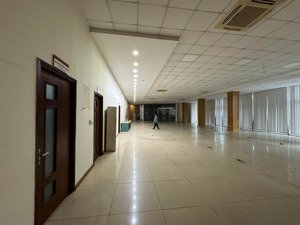 cho thuê mặt bằng kinh doanh lô góc mặt phố 447 lạc long quân 500m mặt tiền 50m