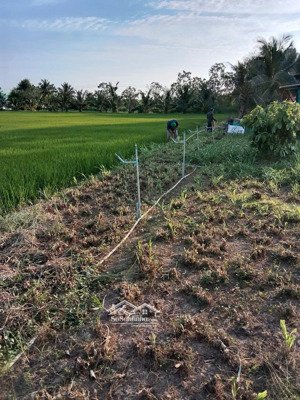 chính chủ cần bán đất gò công đông