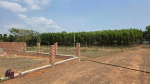 chỉ 580tr đã sở hữu ngay lô đất hơn 500m2 gần trung tâm vĩnh an - cách tphcm chỉ 45km