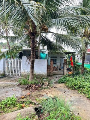 đất đắc lộc bắc nha trang 344m, 120m thổ cư, gần vành đai 3, cách biển hòn chồng 7km, giá 3,44 tỷ