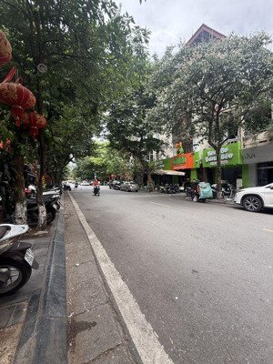 bán nhà phố tô hiến thành diện tích 50.5m2 4 tầng ở luôn giá tốt 