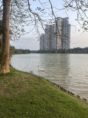 bán căn 1 ngủ toà lake2 tầng 19 giá nhỉnh 3 tỷ giá tốt nhất thị trường lh 