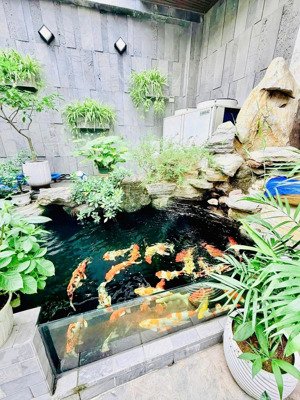 nhà 5 tầng thang máy, 107m2, hẻm 12m có lề 5m hương lộ 2, không gian sống an yên giữa lòng đô thị